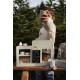 Stand de cafea din lemn FSC - Little Dutch Stand de cafea din lemn FSC - Little Dutch