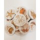 Puzzle pentru baie - Bath Buds - Mrs Ertha