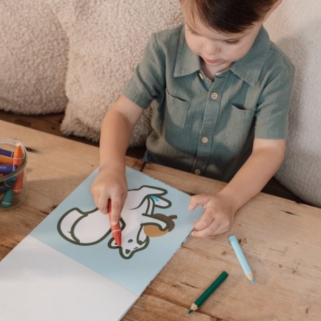 Carte de colorat - Forest Friends - Little Dutch