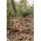 Jucarie din plus Vulpe - Forest Friends - Little Dutch Jucarie din plus Vulpe - Forest Friends - Little Dutch