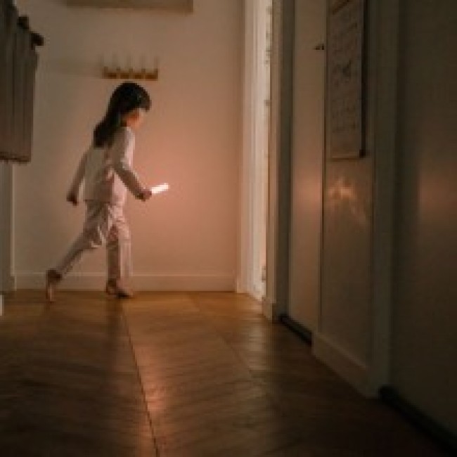 Lanterna pentru copii cu suport magnetic - Fox - The Zoofamily