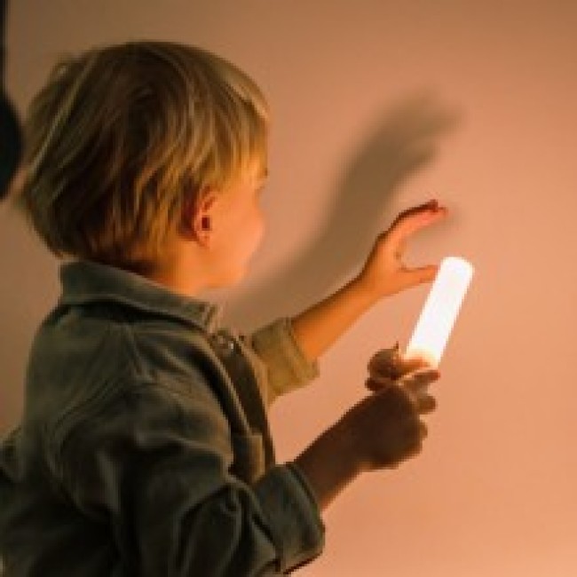 Lanterna pentru copii cu suport magnetic - Fox - The Zoofamily