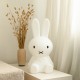 Lampa de veghe cu led dimabil 50 cm - Star Light Miffy - Mr Maria