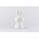 Lampa de veghe cu led dimabil 50 cm - Star Light Miffy - Mr Maria