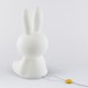 Lampa de veghe cu led dimabil 50 cm - Star Light Miffy - Mr Maria