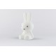 Lampa de veghe cu led dimabil 50 cm - Star Light Miffy - Mr Maria