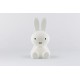 Lampa de veghe cu led dimabil 50 cm - Star Light Miffy - Mr Maria