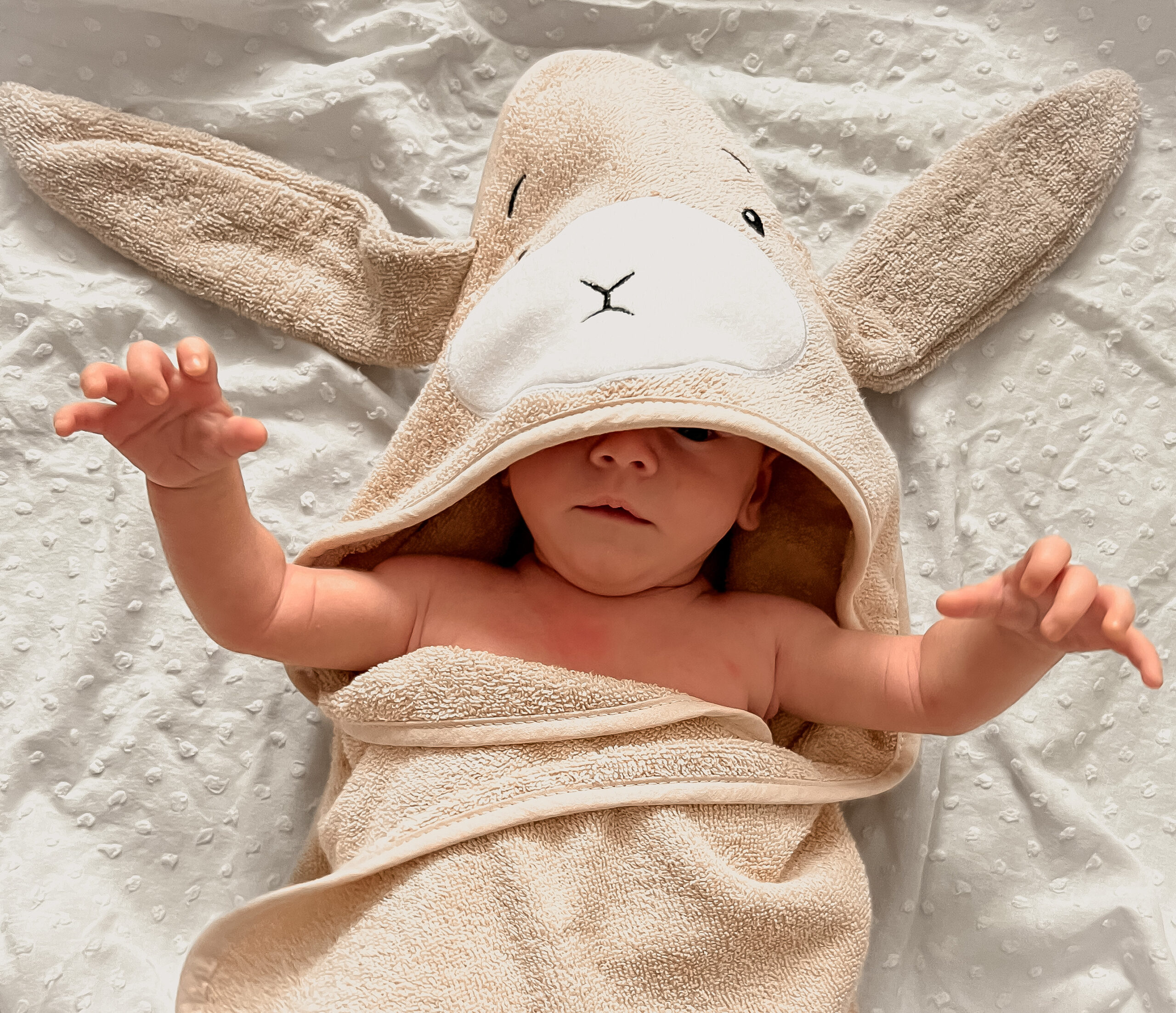 Prosop de baie cu gluga - Bunny - 75 x 75 cm - Effiki